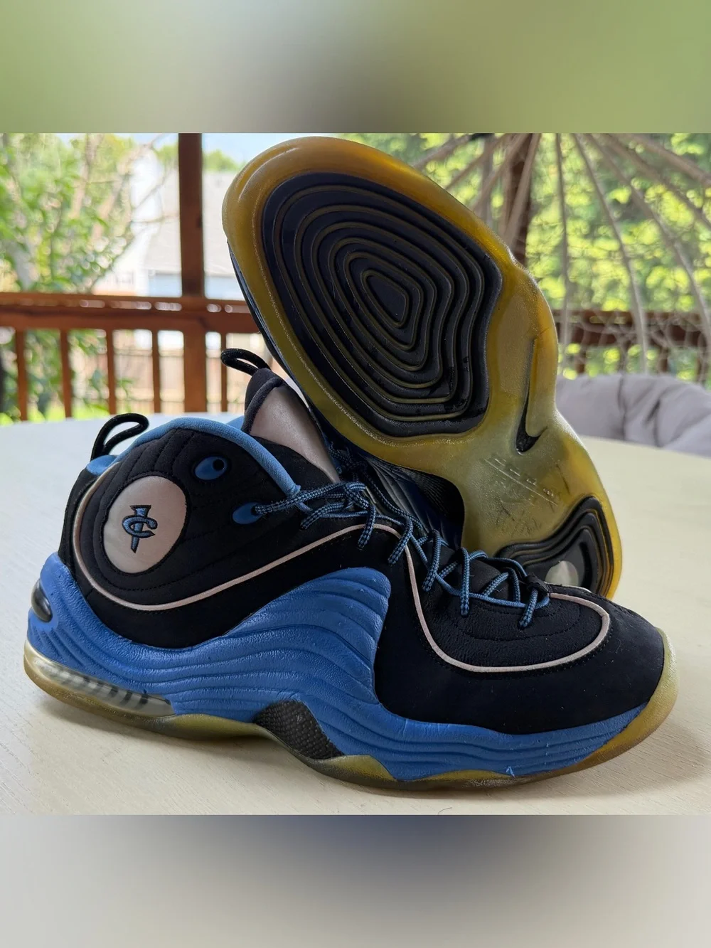 Nike Air Max Penny II Black Orlando Magic Hardaway 333886-005 Size 12